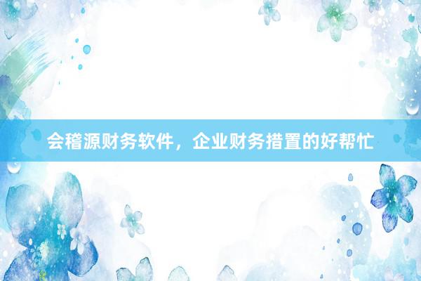 会稽源财务软件，企业财务措置的好帮忙